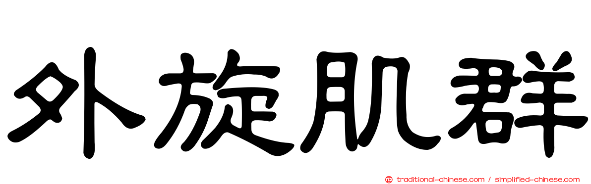 外旋肌群