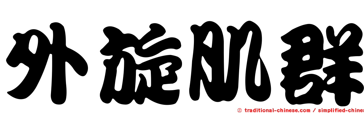 外旋肌群