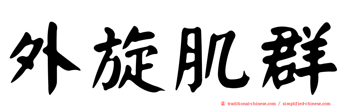外旋肌群