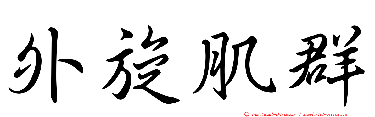 外旋肌群