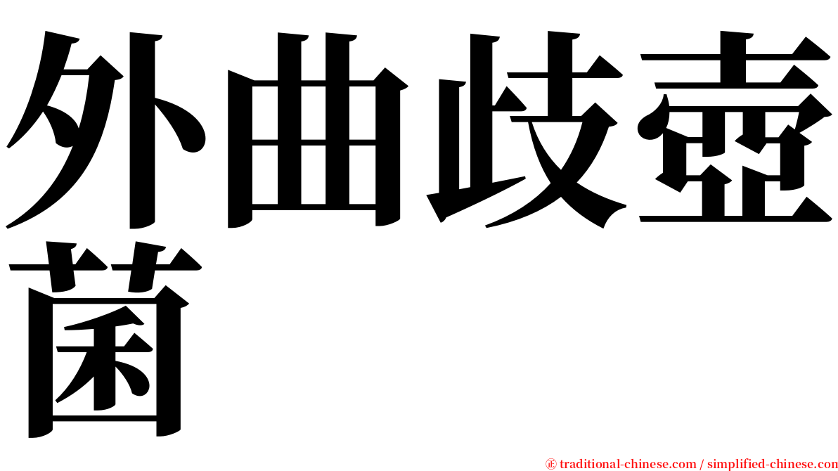 外曲歧壺菌 serif font