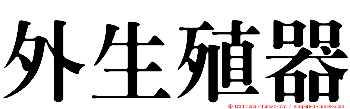 外生殖器