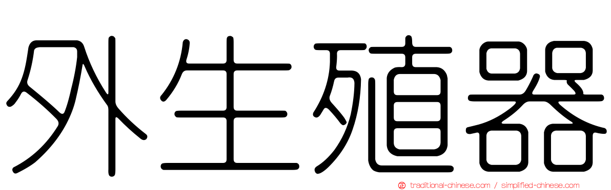 外生殖器