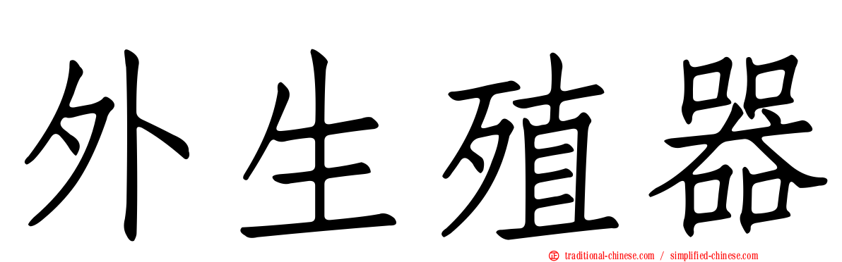外生殖器