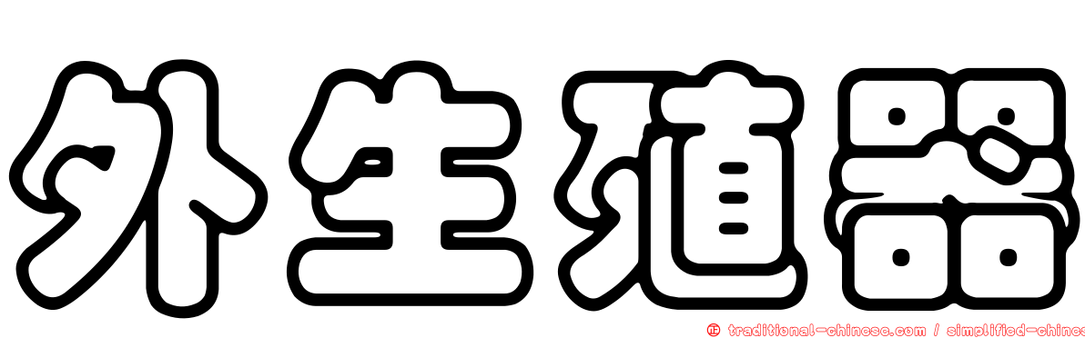 外生殖器