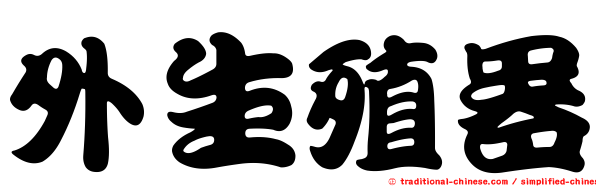 外生殖器
