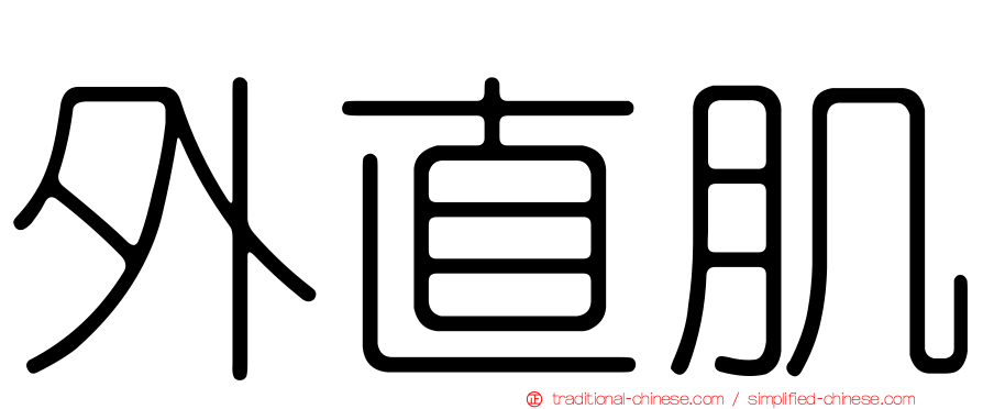 外直肌