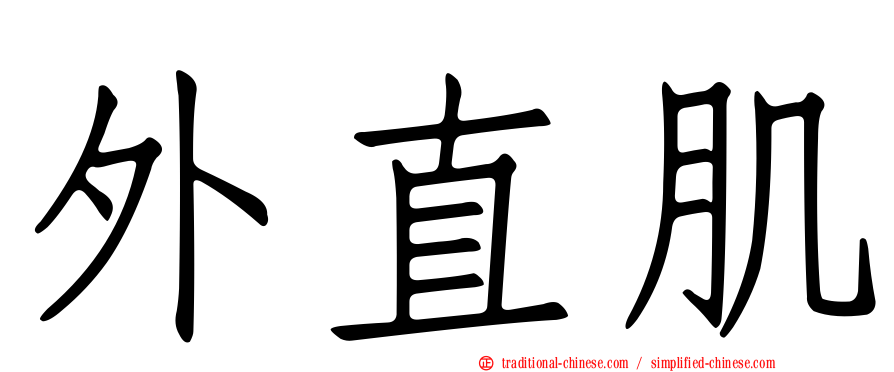 外直肌