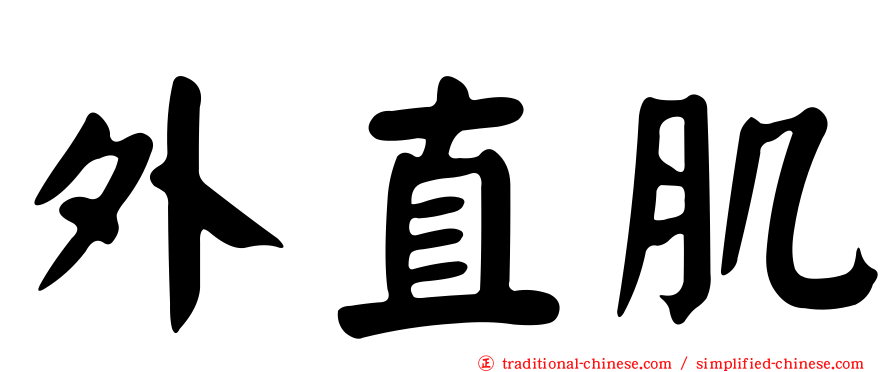 外直肌