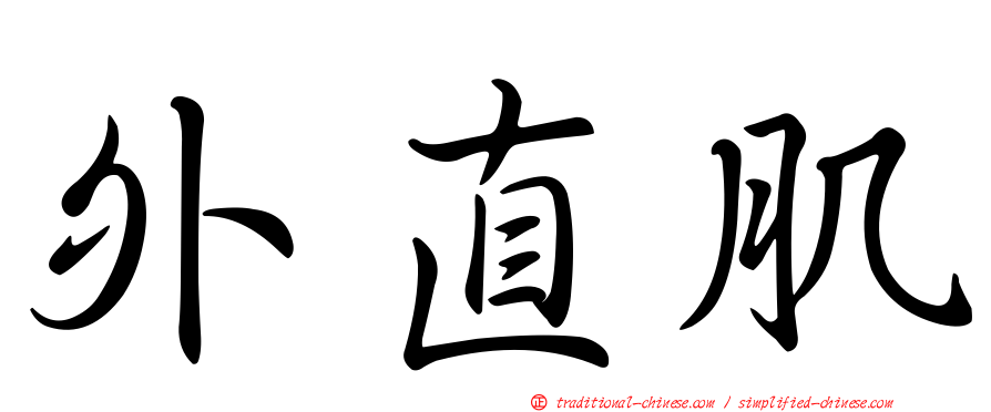 外直肌