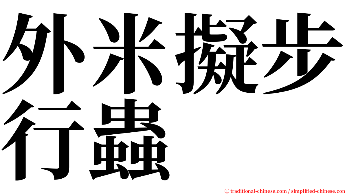 外米擬步行蟲 serif font