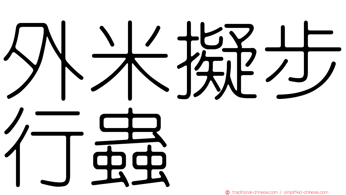 外米擬步行蟲