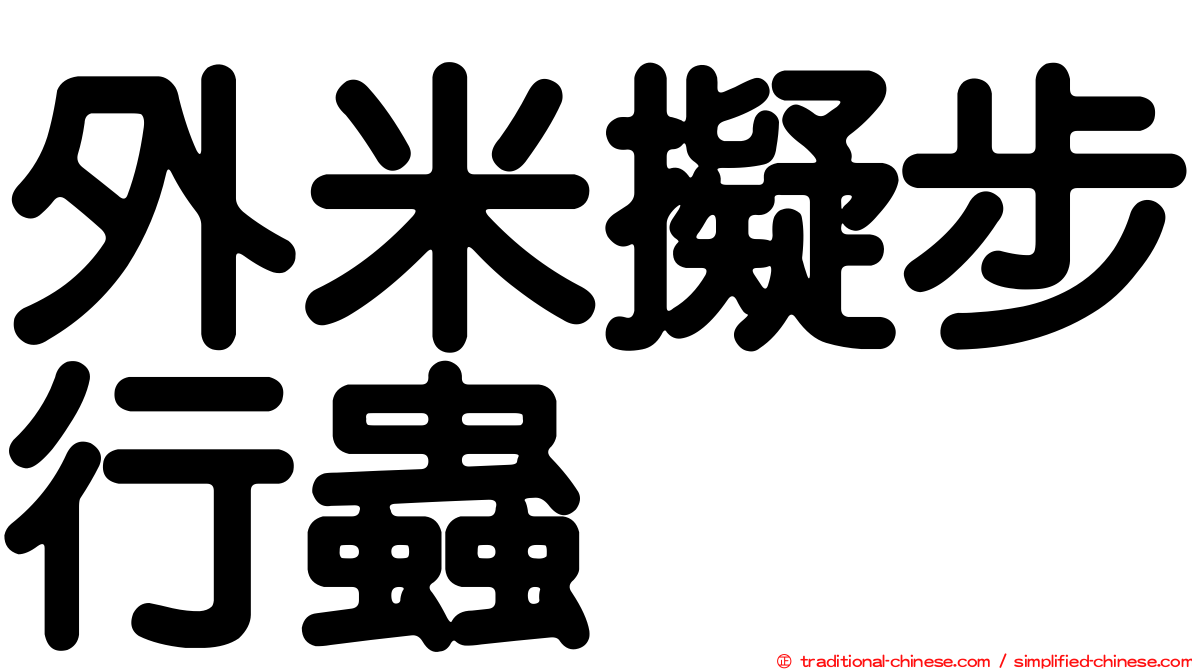 外米擬步行蟲