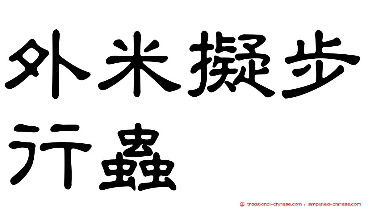 外米擬步行蟲