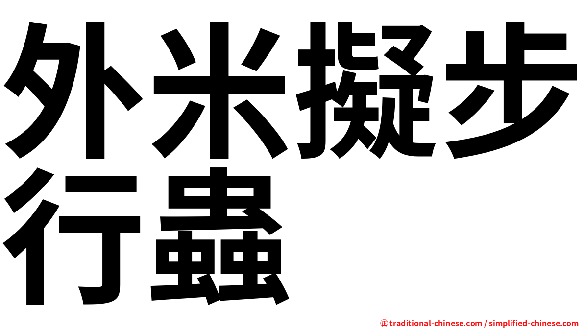 外米擬步行蟲