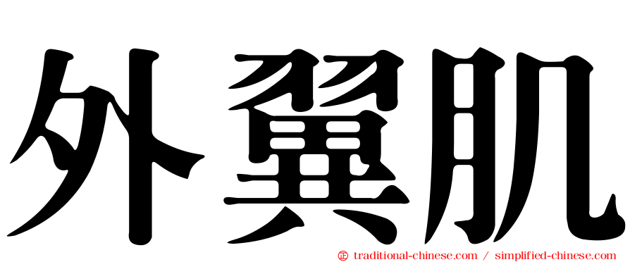 外翼肌