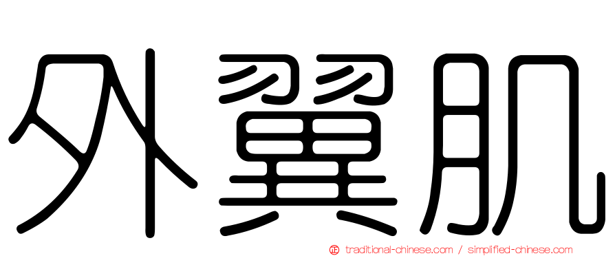 外翼肌