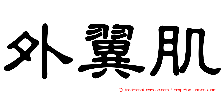 外翼肌