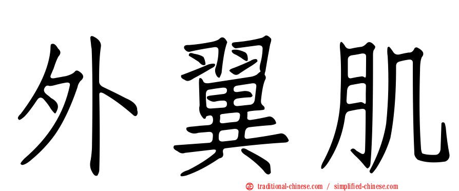 外翼肌