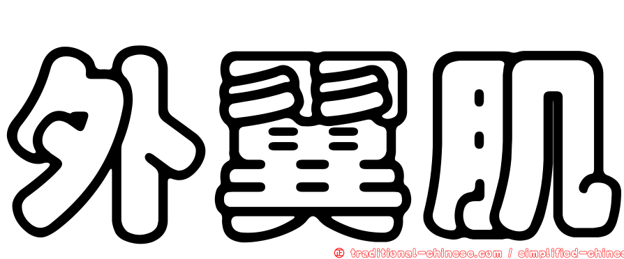 外翼肌