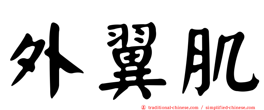 外翼肌