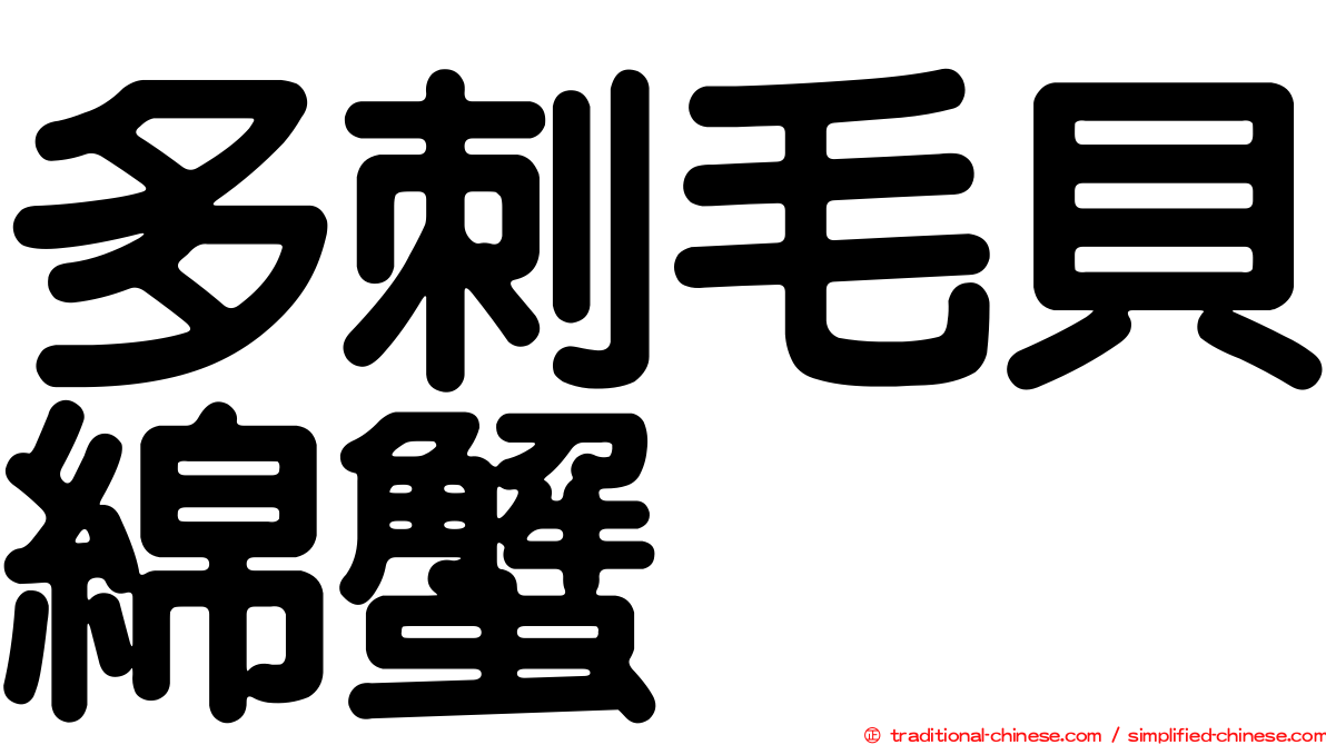 多刺毛貝綿蟹