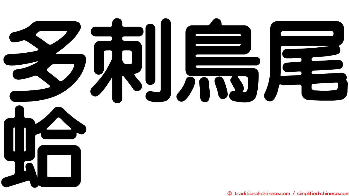 多刺鳥尾蛤