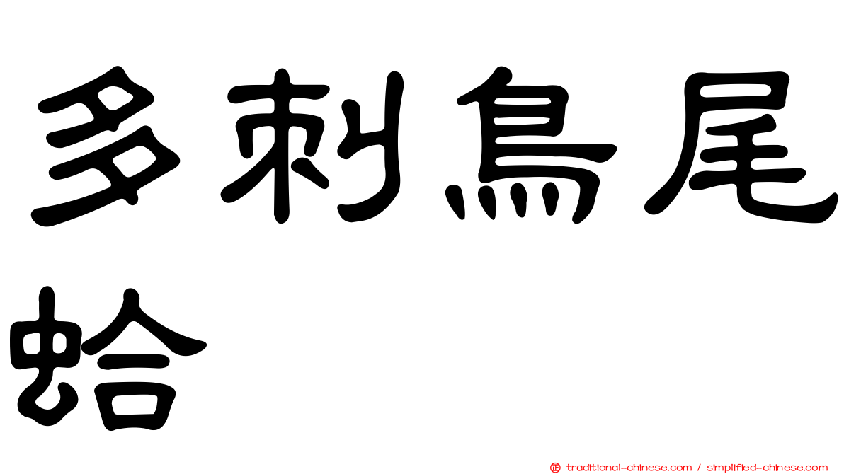 多刺鳥尾蛤