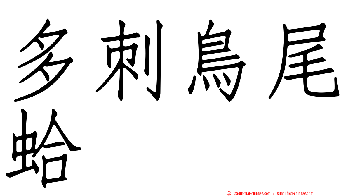 多刺鳥尾蛤