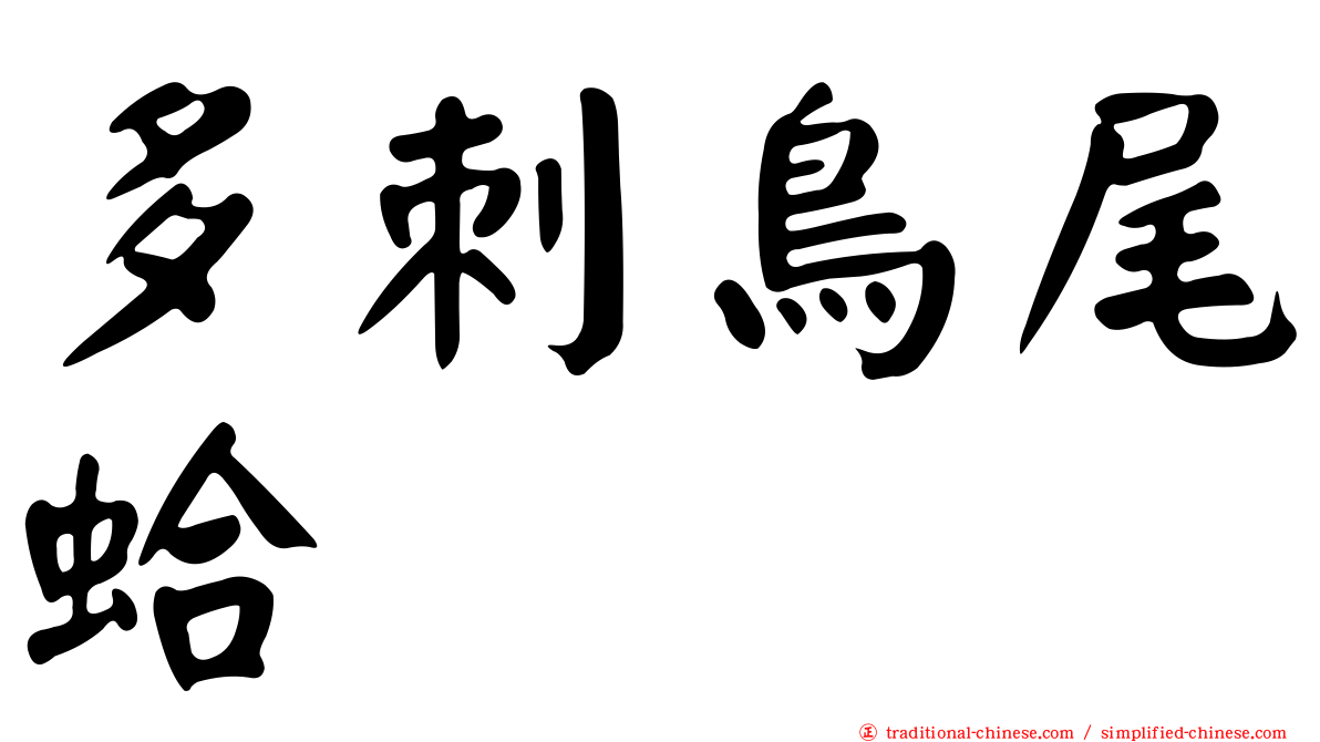 多刺鳥尾蛤