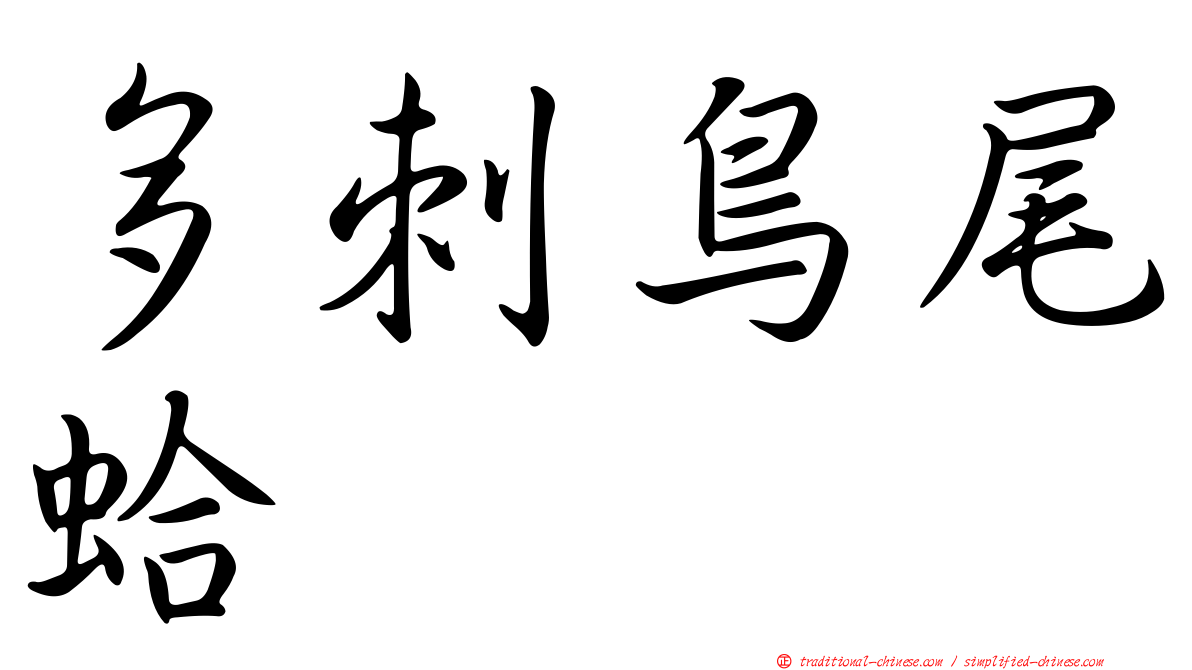 多刺鳥尾蛤