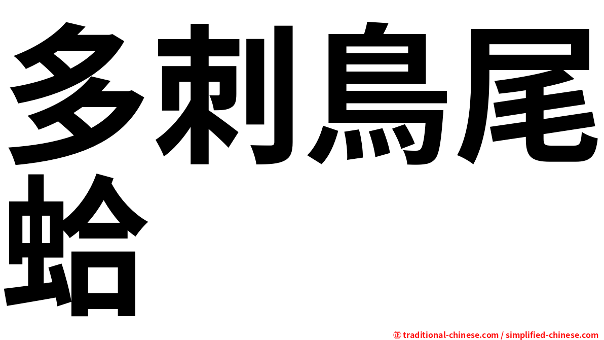 多刺鳥尾蛤