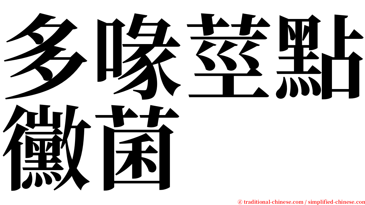 多喙莖點黴菌 serif font