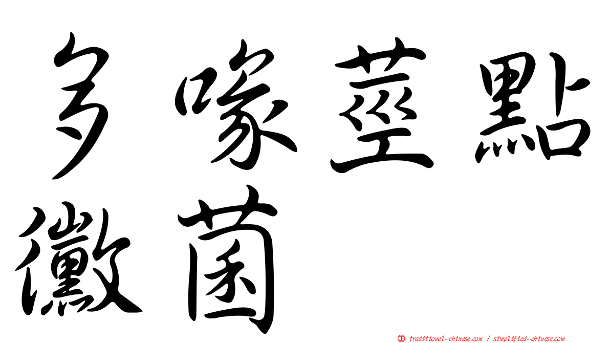 多喙莖點黴菌