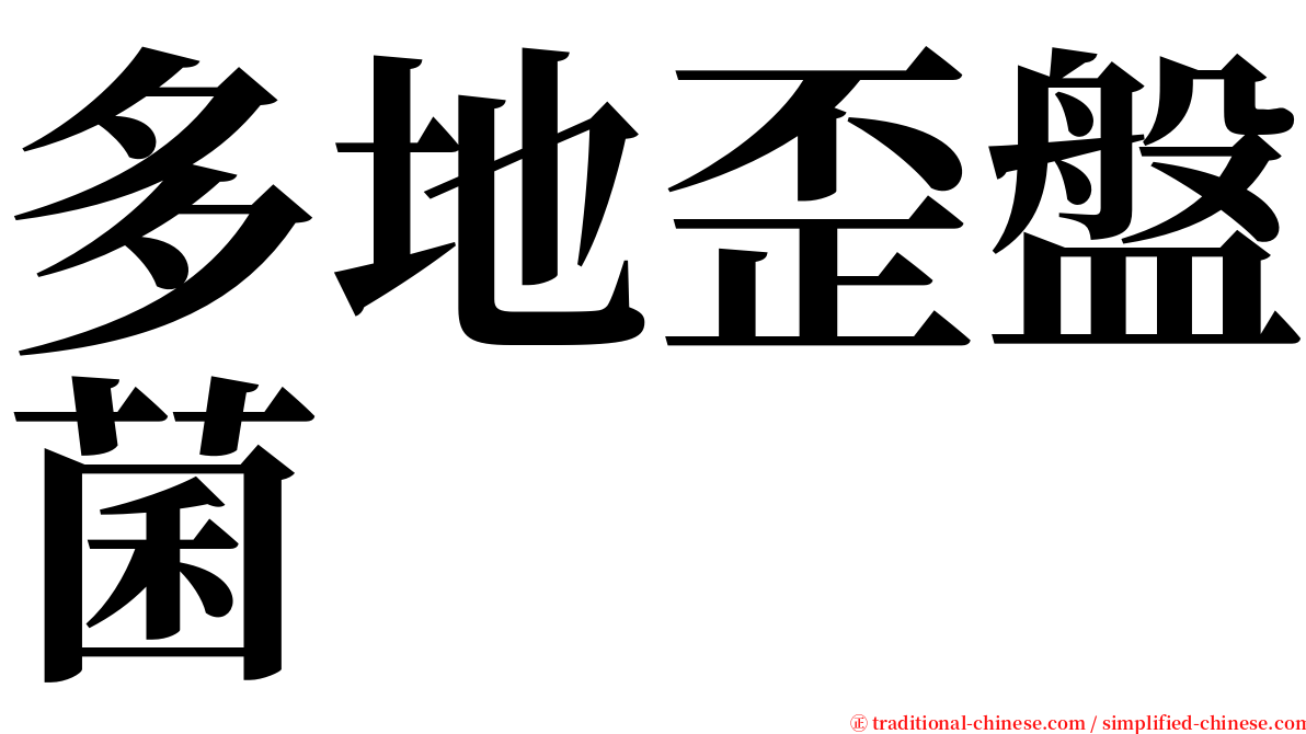 多地歪盤菌 serif font