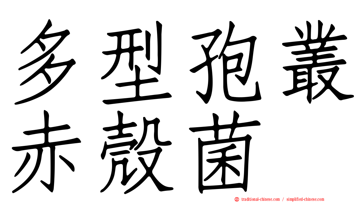 多型孢叢赤殼菌