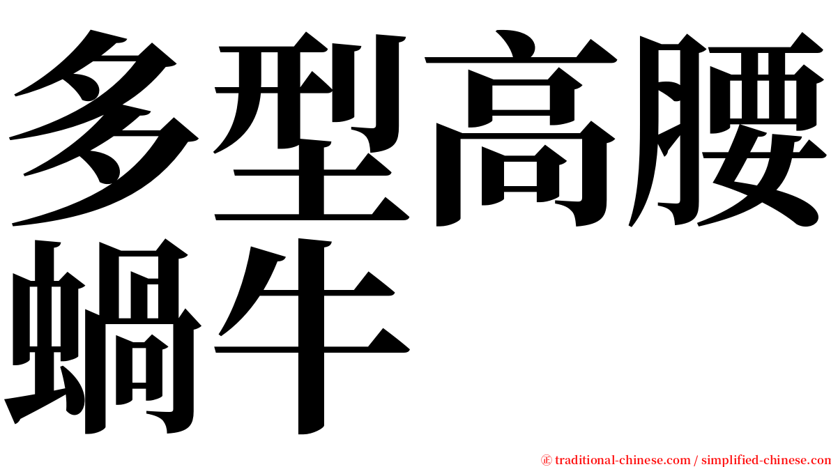 多型高腰蝸牛 serif font