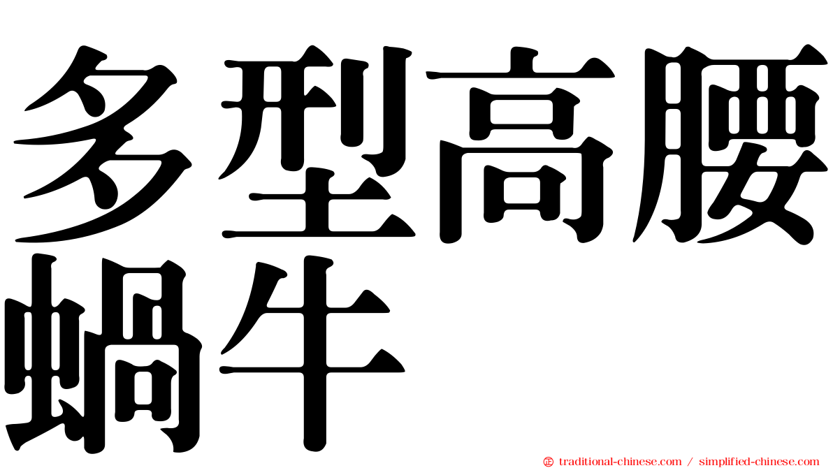 多型高腰蝸牛