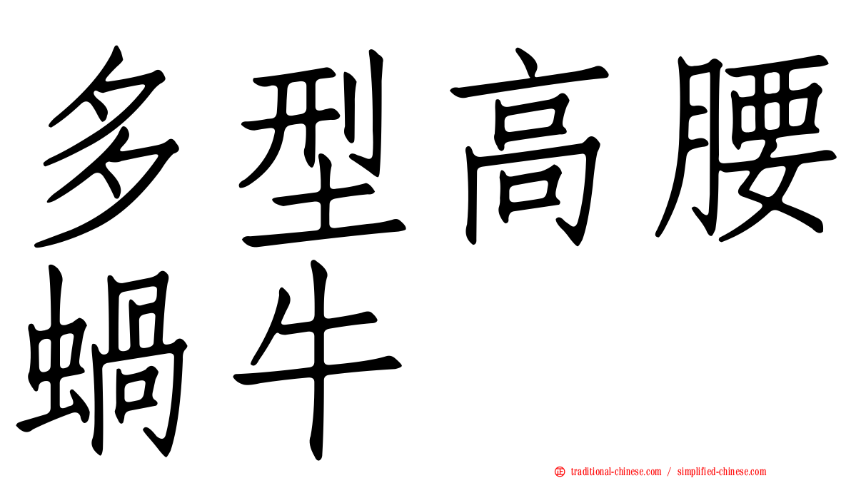 多型高腰蝸牛