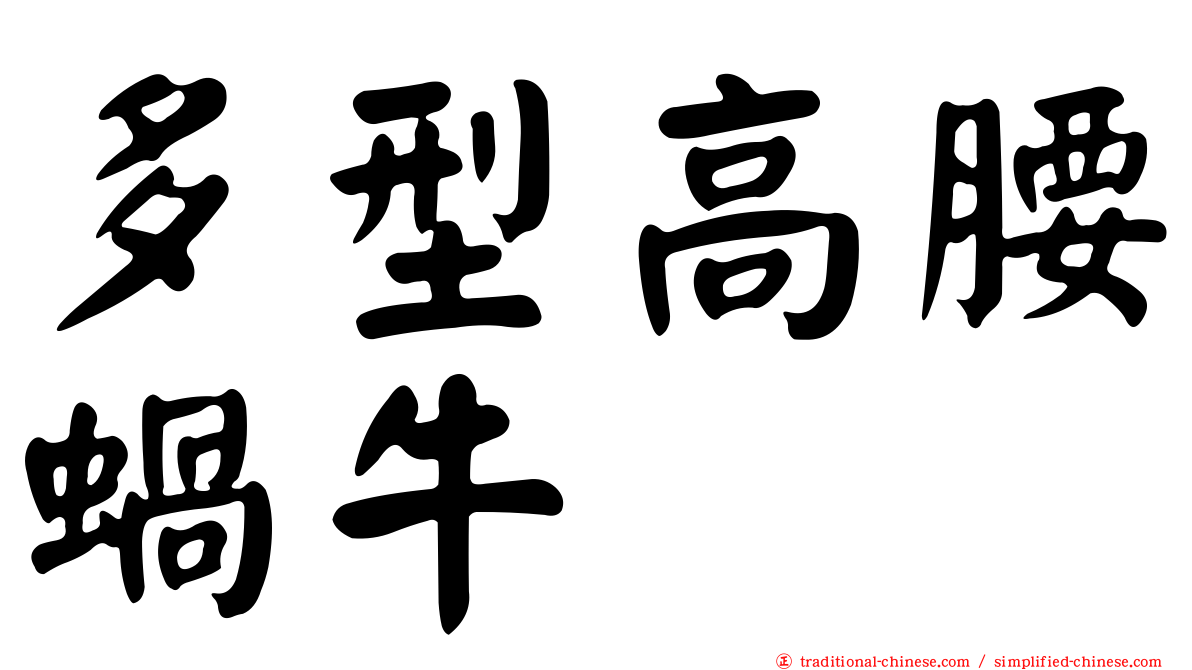 多型高腰蝸牛