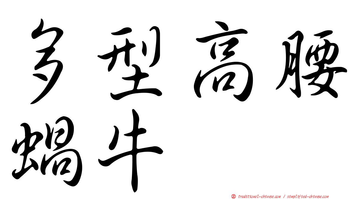 多型高腰蝸牛