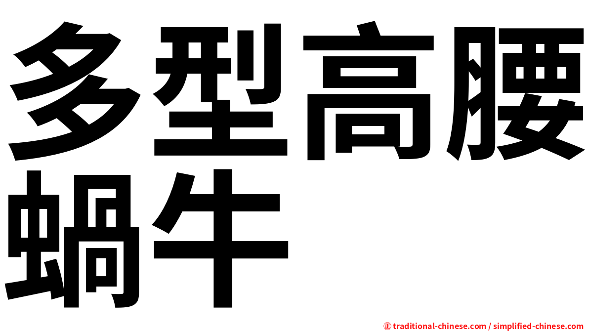 多型高腰蝸牛