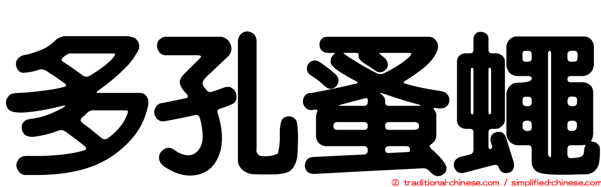 多孔蚤蠅
