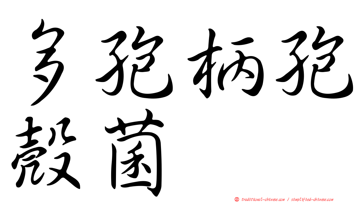 多孢柄孢殼菌