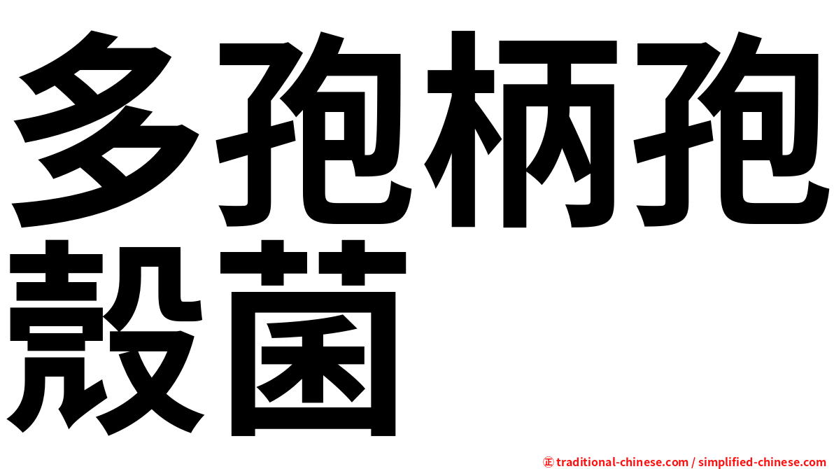 多孢柄孢殼菌