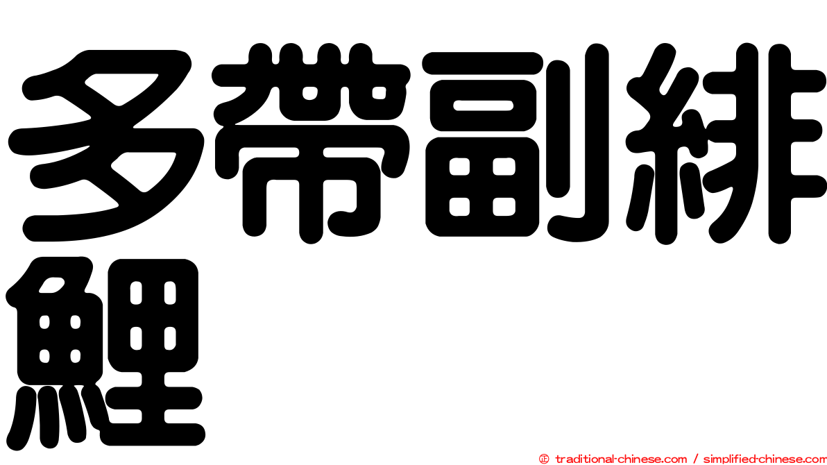 多帶副緋鯉