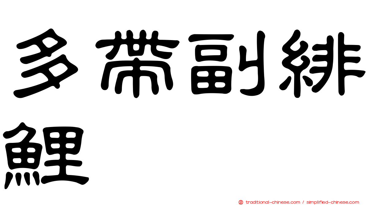 多帶副緋鯉