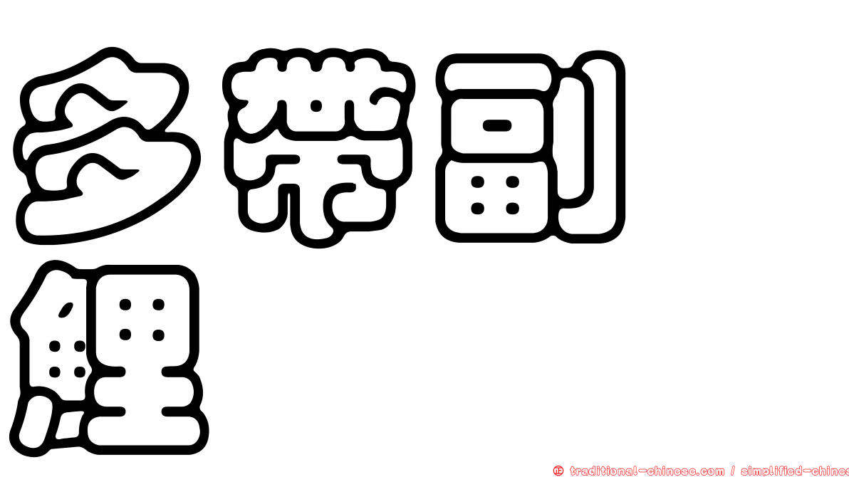 多帶副緋鯉