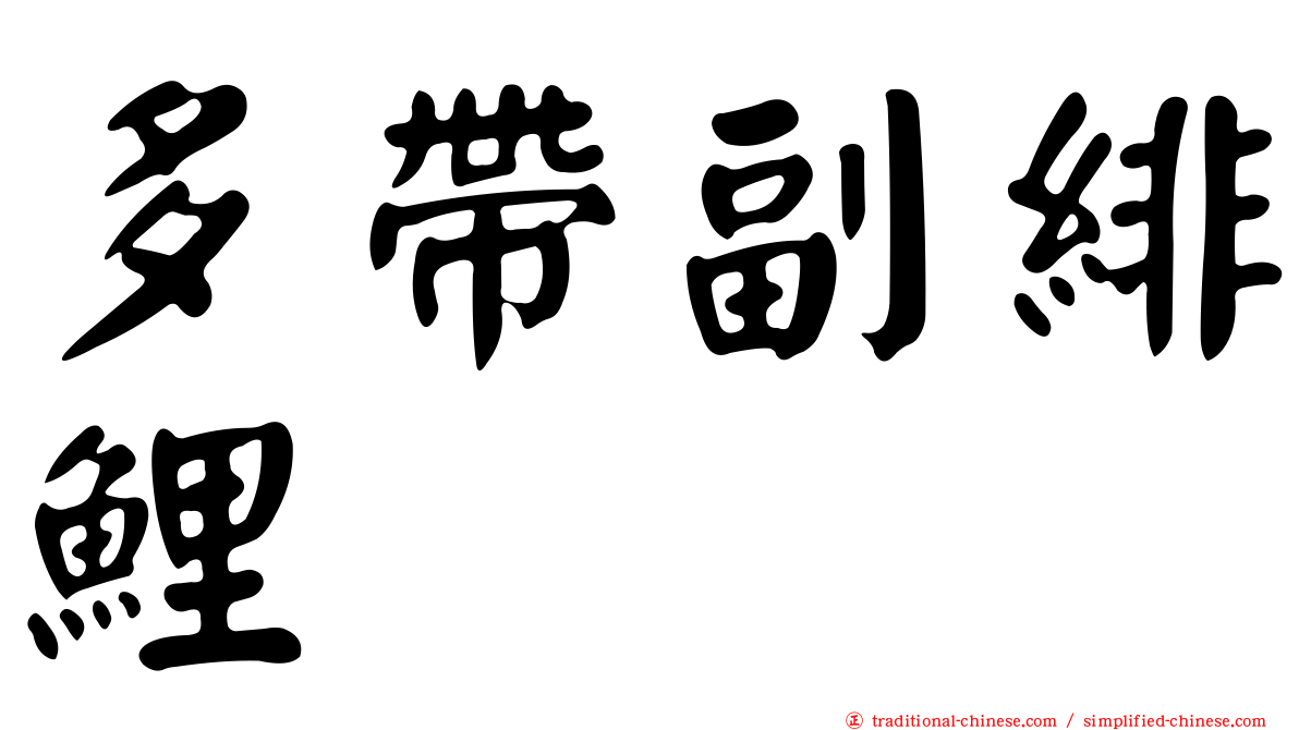 多帶副緋鯉