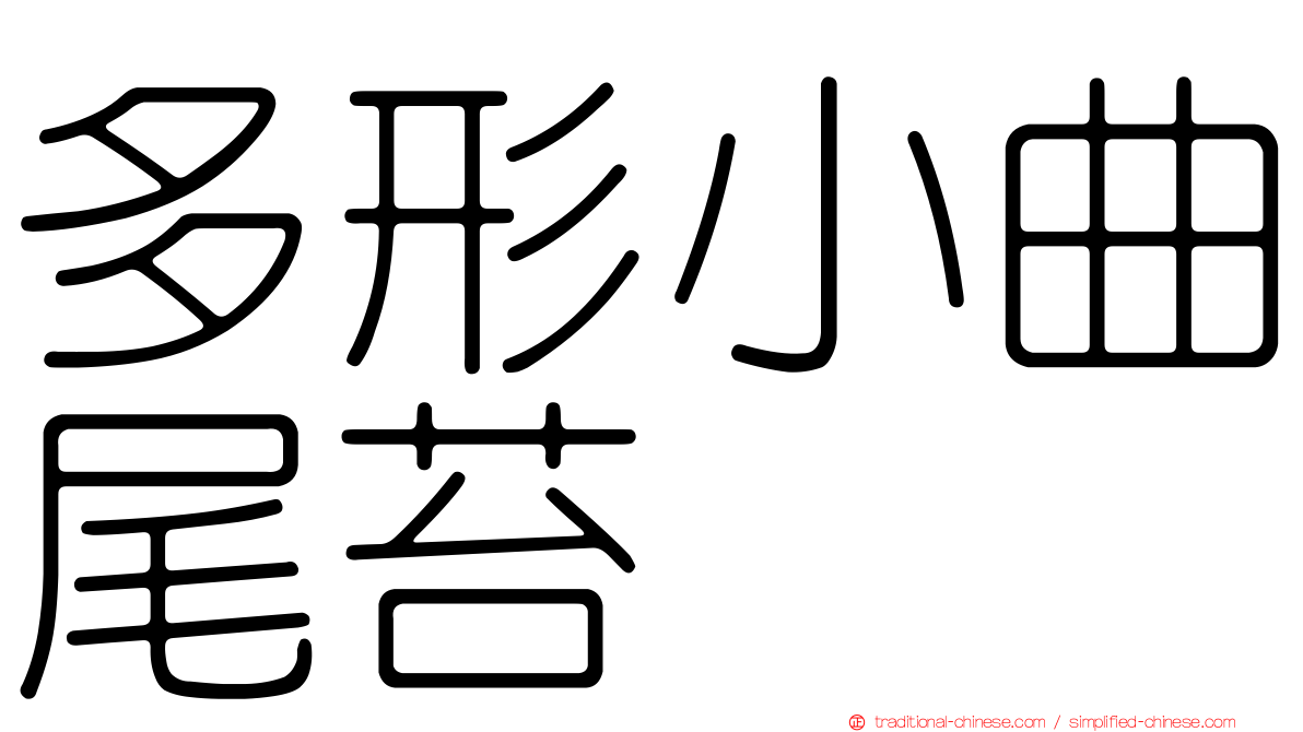 多形小曲尾苔